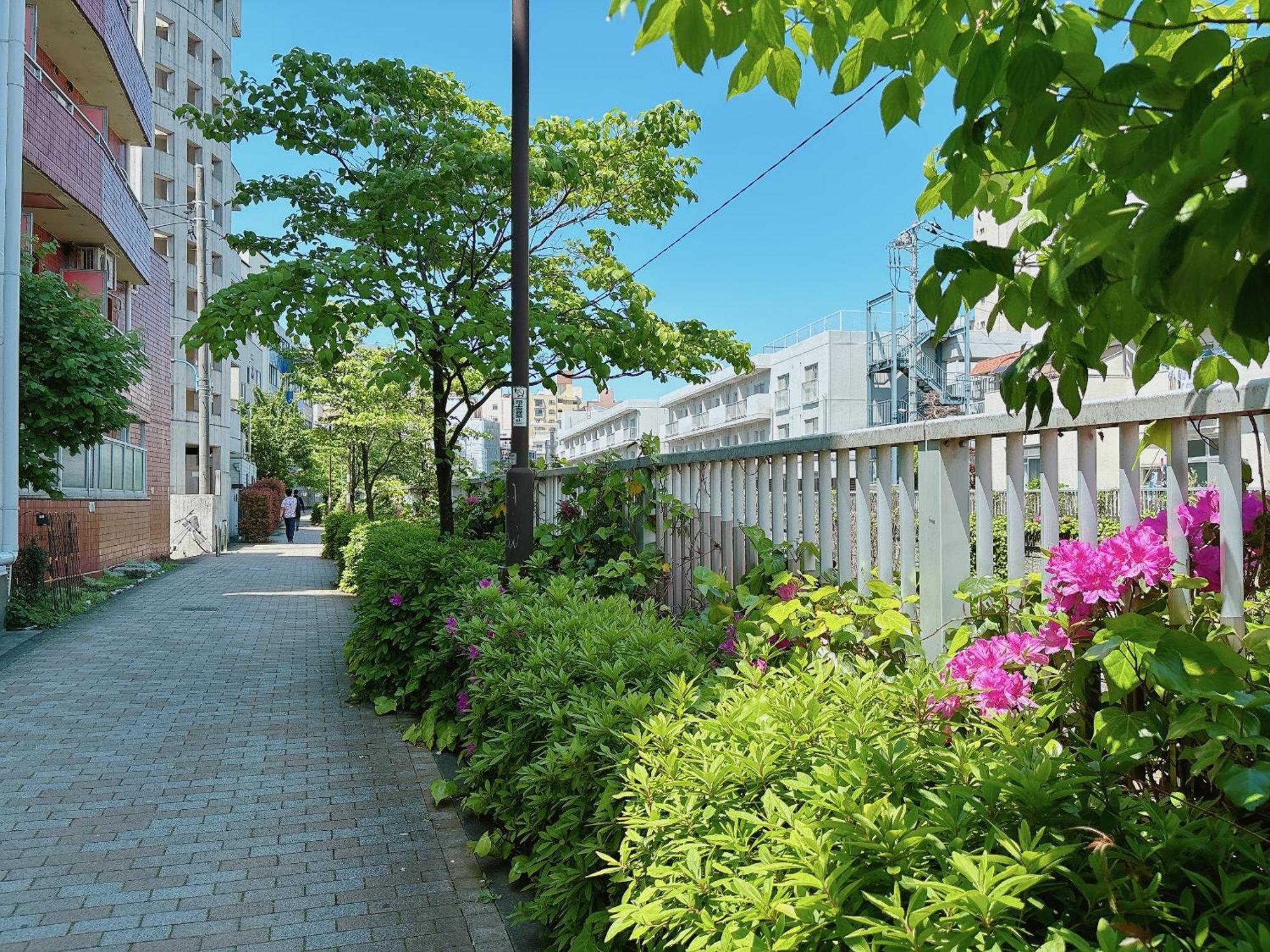 公寓 Shinjuku Business House 5min Walk 新宿高田馬場駅歩行5分 東京都
