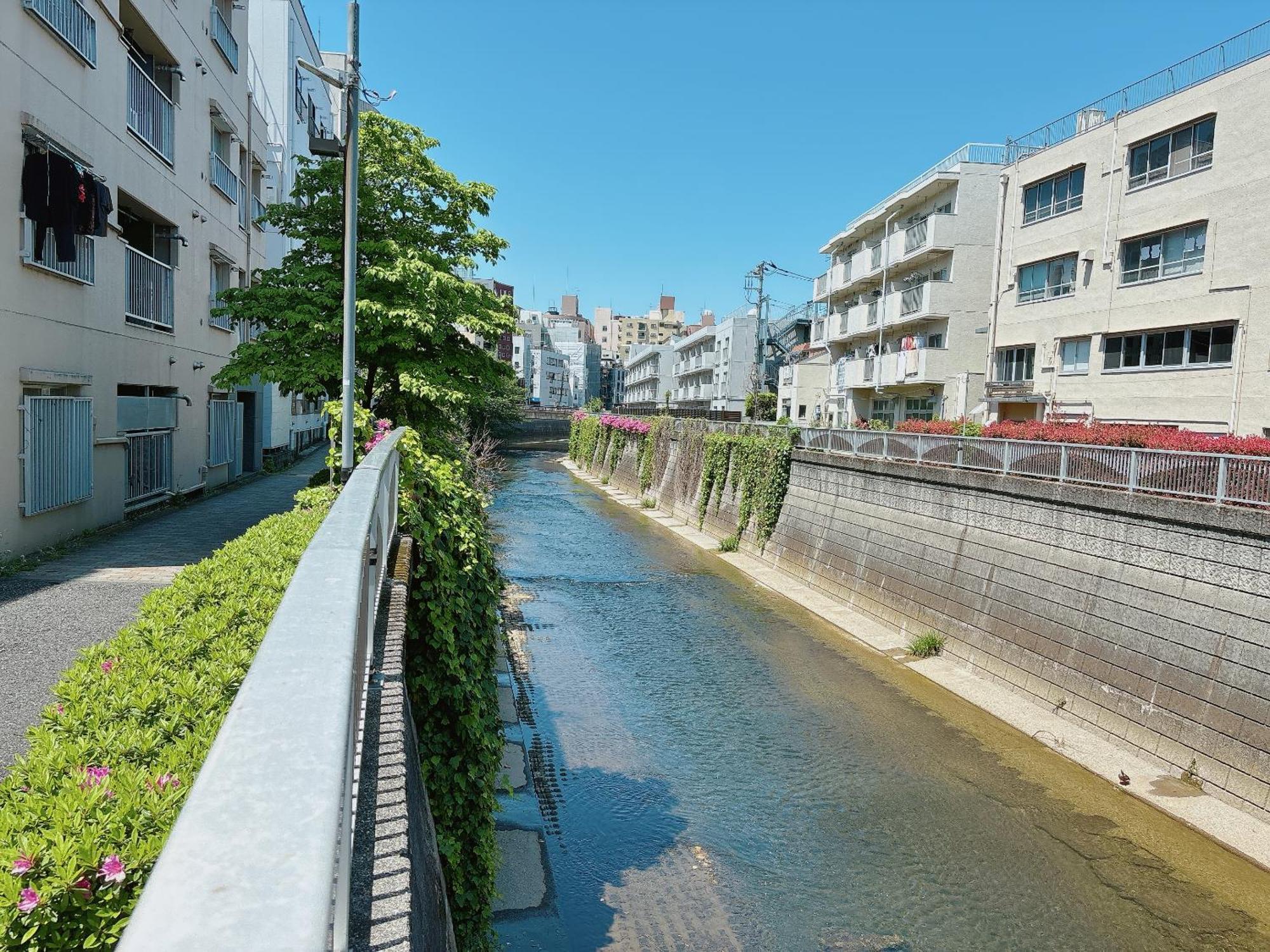 Shinjuku Business House 5min Walk 新宿高田馬場駅歩行5分 公寓 *